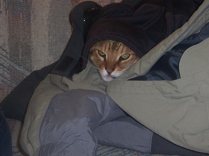 000_0852.JPG