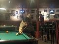 IMG_0074