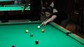 DSC00138